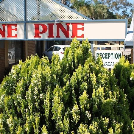 Lone Pine Motel Corowa Exterior photo