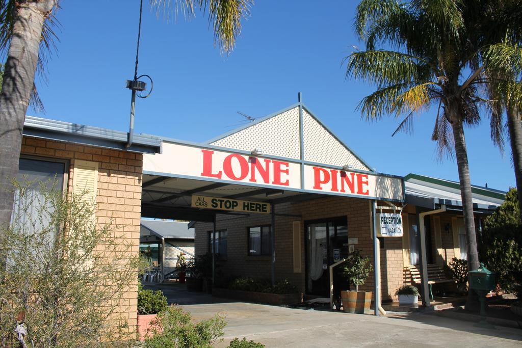 Lone Pine Motel Corowa Exterior photo