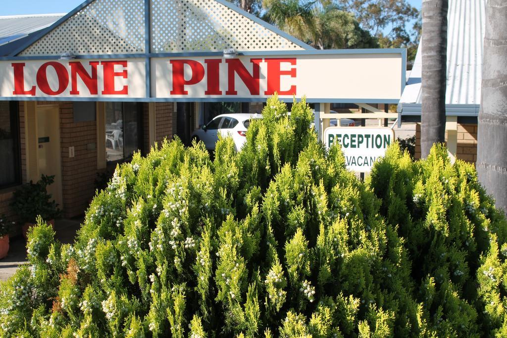 Lone Pine Motel Corowa Exterior photo