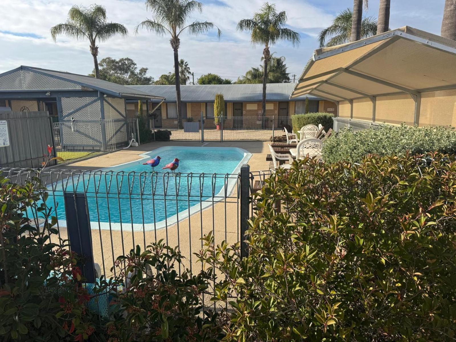Lone Pine Motel Corowa Exterior photo